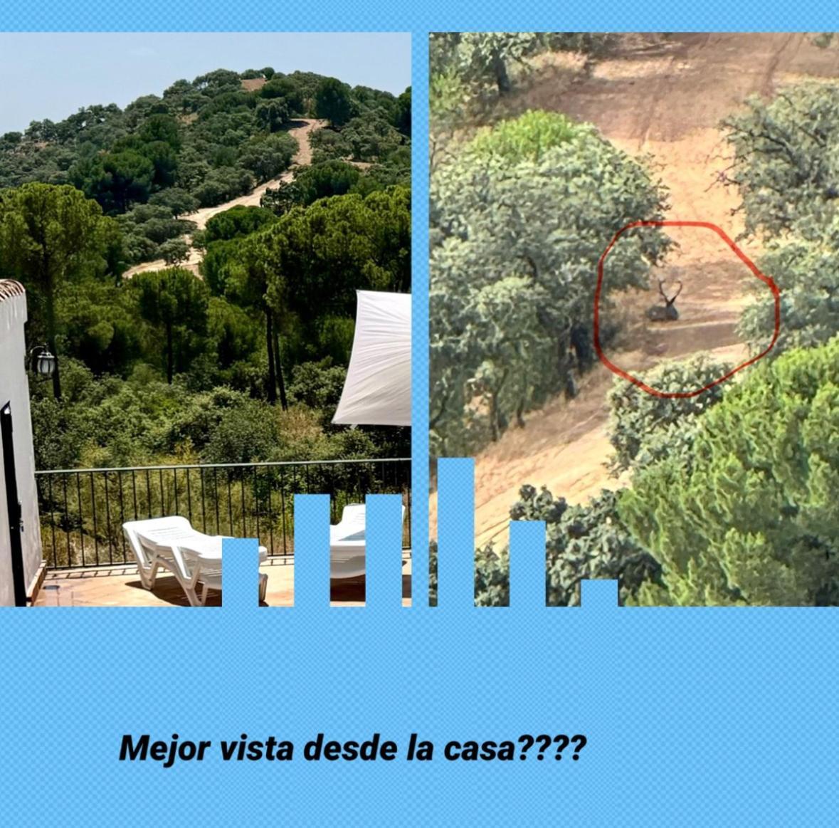 Casarural Sierramorena Dos Encinas Chalet *