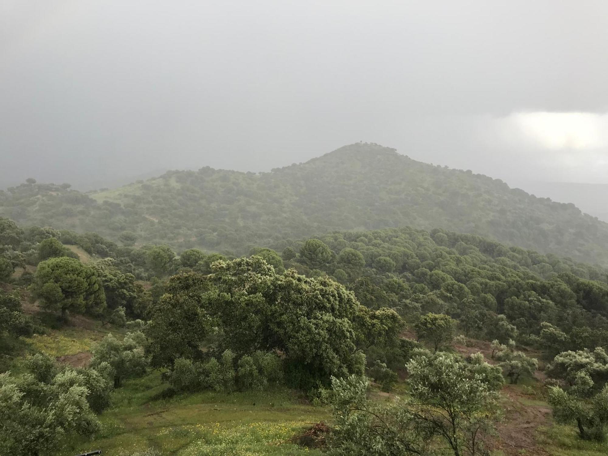 Casarural Sierramorena Dos Encinas