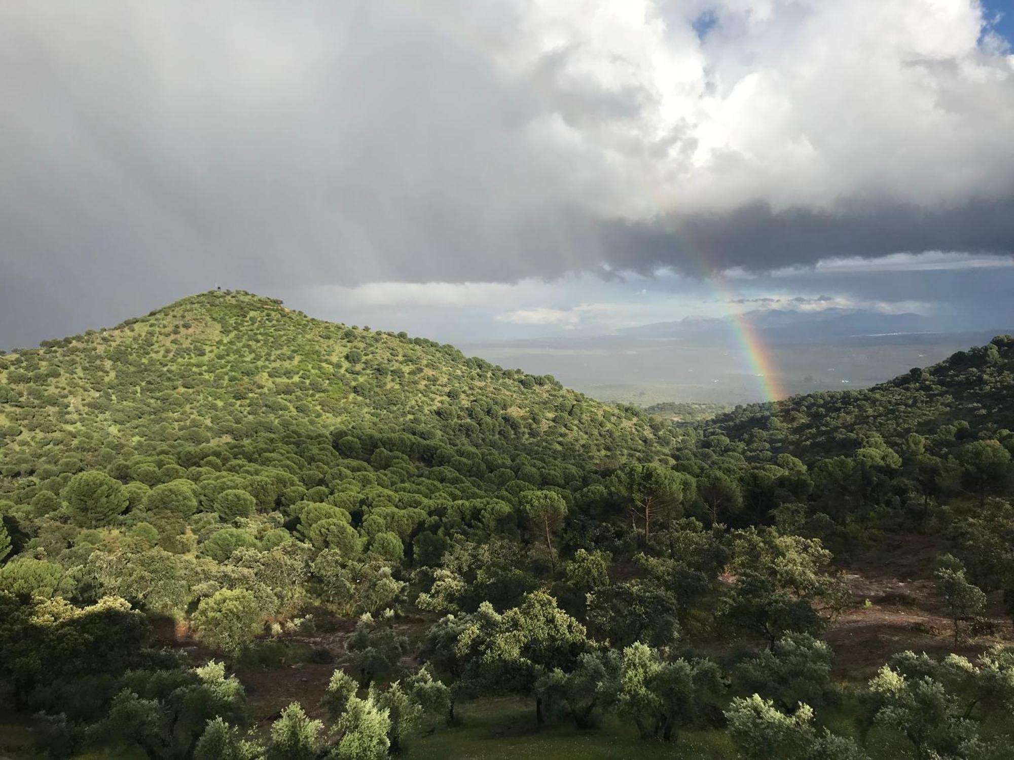Casarural Sierramorena Dos Encinas * Andujar